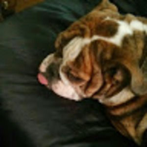 Meet your Posher, Vanda